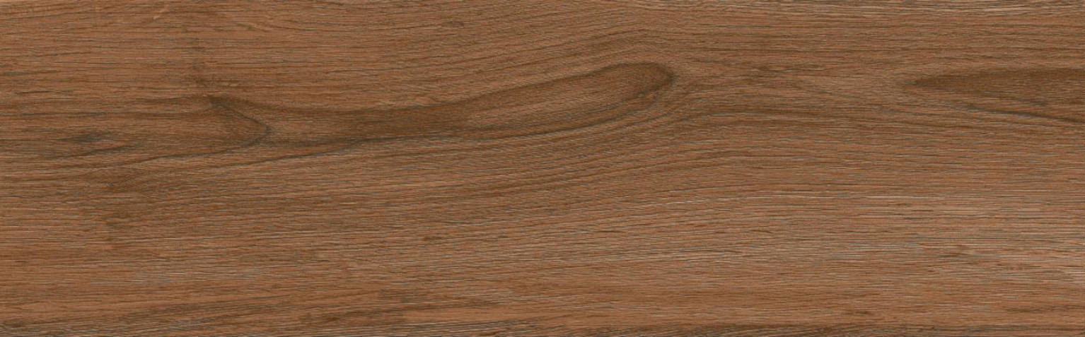 TANZANIA CEDRO