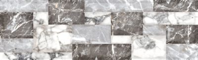 Galápagos gris